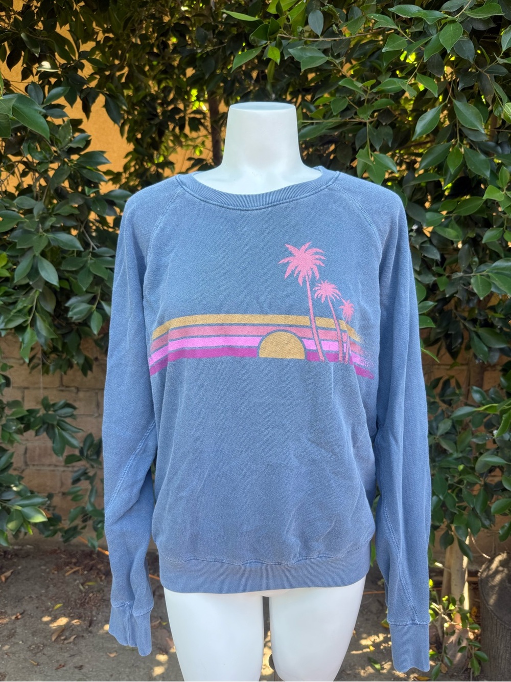 Sundry Blue Crewneck Sweater with Pink Palm Sunset Graphic